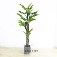 uploads/erp/collection/images/Home Garden/dgjiawang/XU0612726/img_b/XU0612726_img_b_3